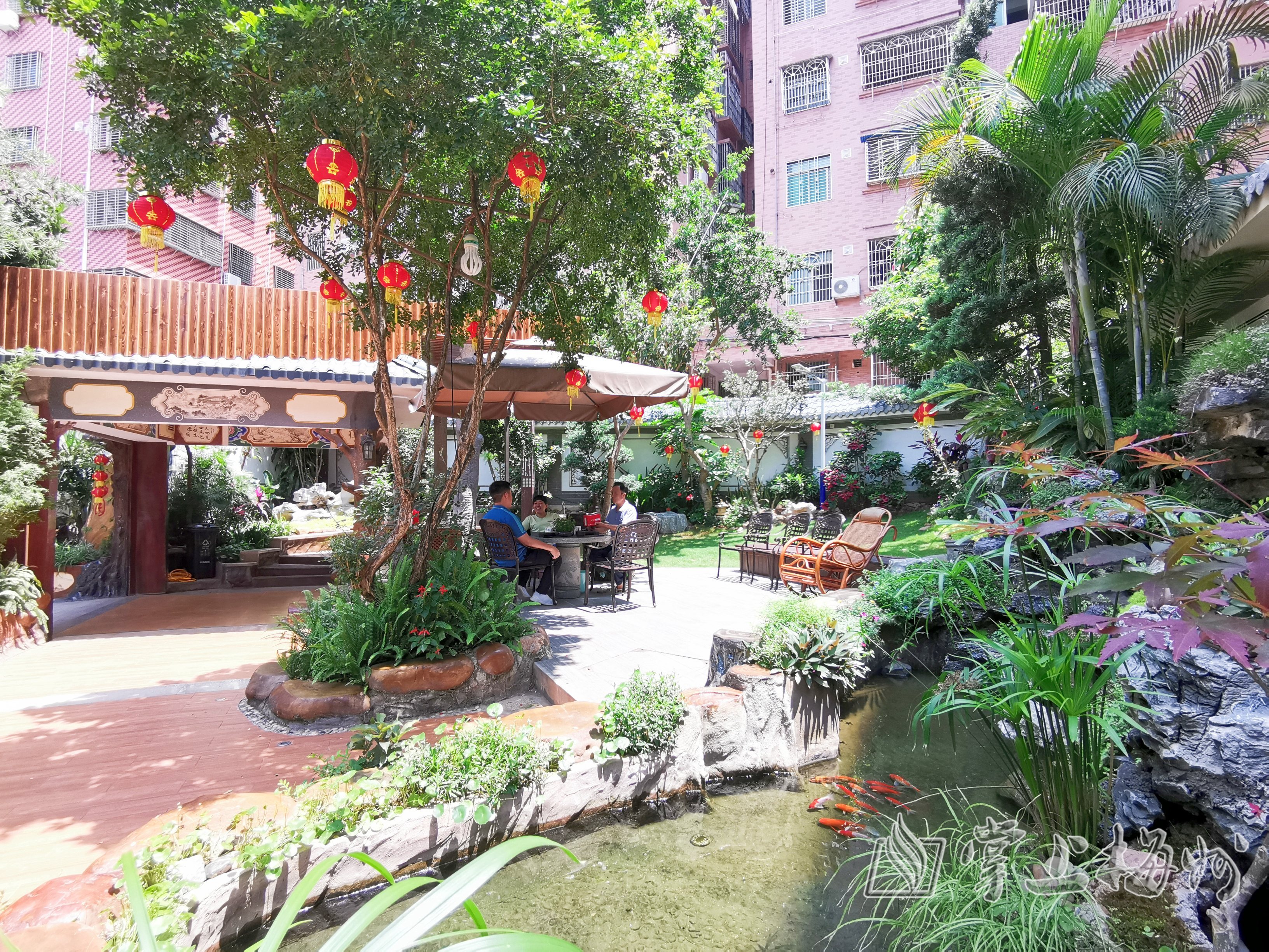 奏响乡村振兴曲,奏响乡村振兴奋进曲