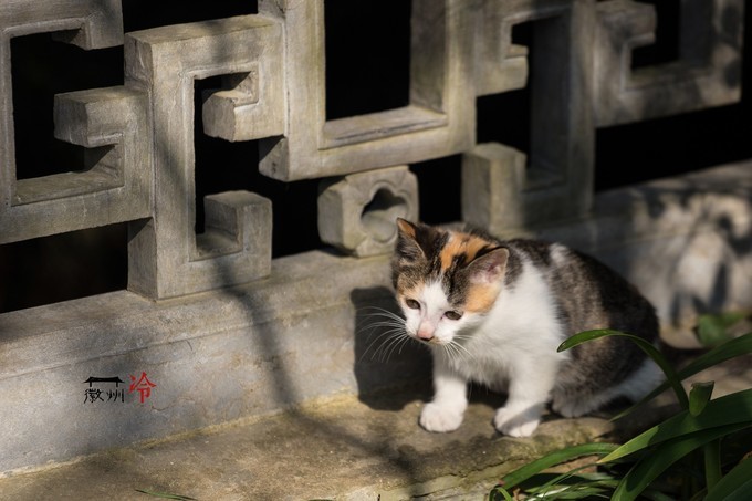 「徽州冷」宏村秋深晴少，友谊地久天