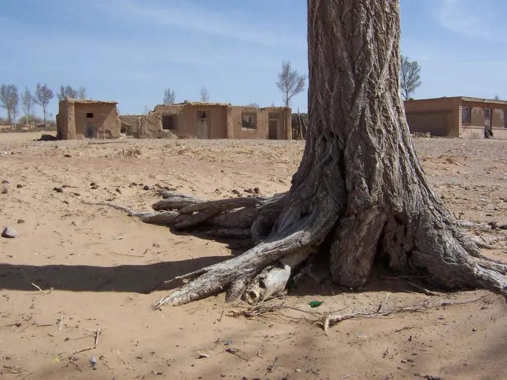 没有狗血和卖惨，这部扶贫剧靠什么收割了全网的眼泪？