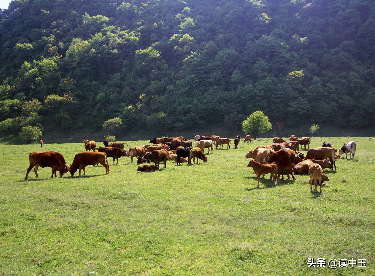 牛群这几年经历了什么,牛群从政怎么样