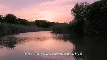 在上海宝山生活怎么样,在宝山