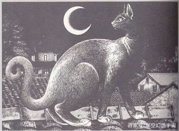 猫咪的迷惑行为历史版,可爱的猫咪黑历史