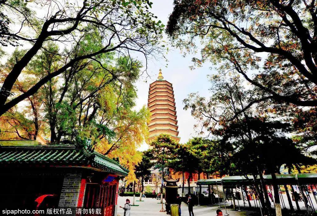 藏不住了!北京这些地方即将美出天际,你居然不知道?