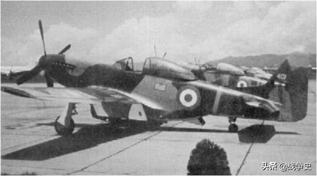 为足球也能发动战争?一女孩激动自杀,美洲两国因此菜鸡互啄