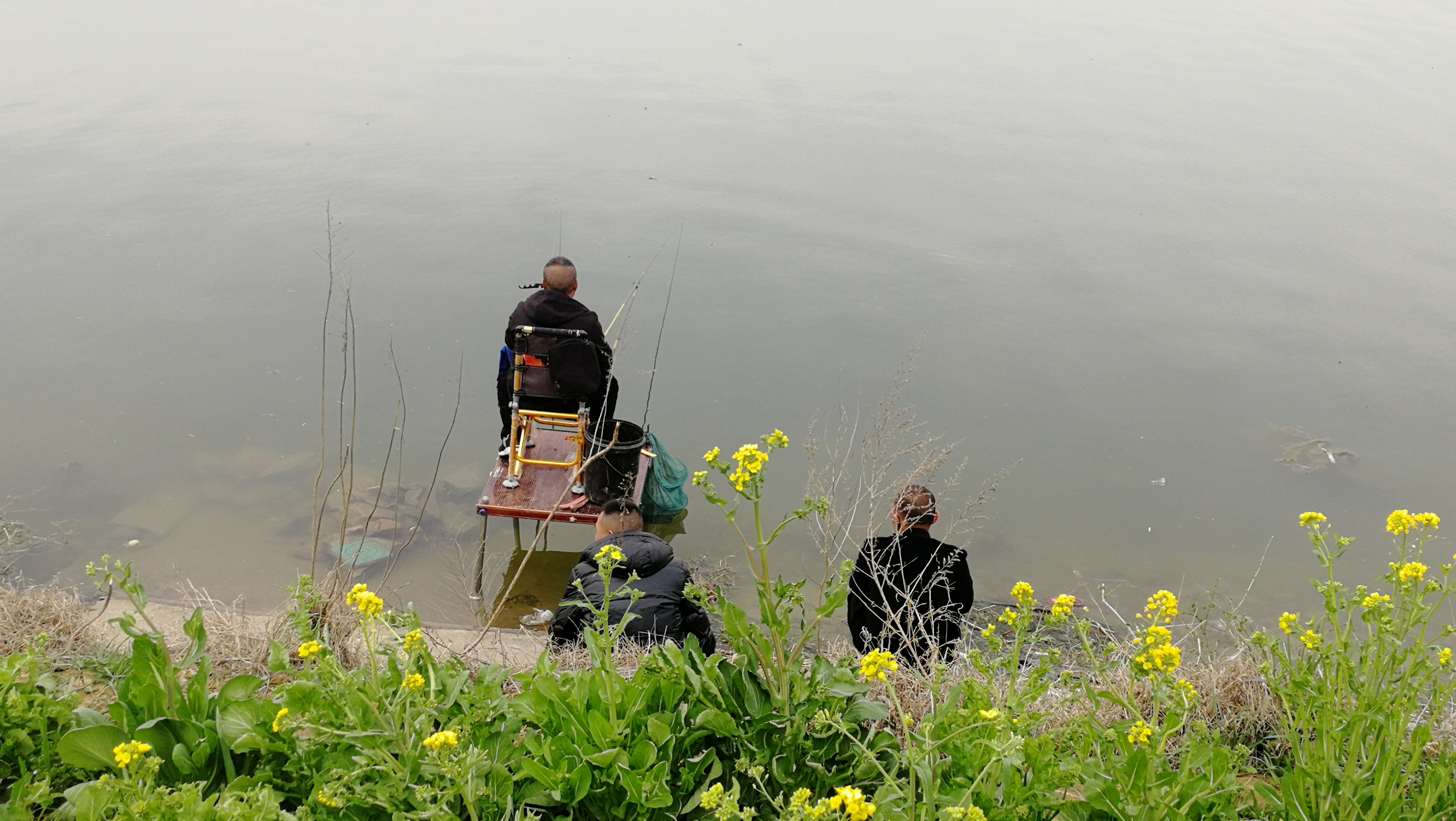 这种鱼哪都有，而且一来就是一大群，吃口又快又猛，别说你没钓过