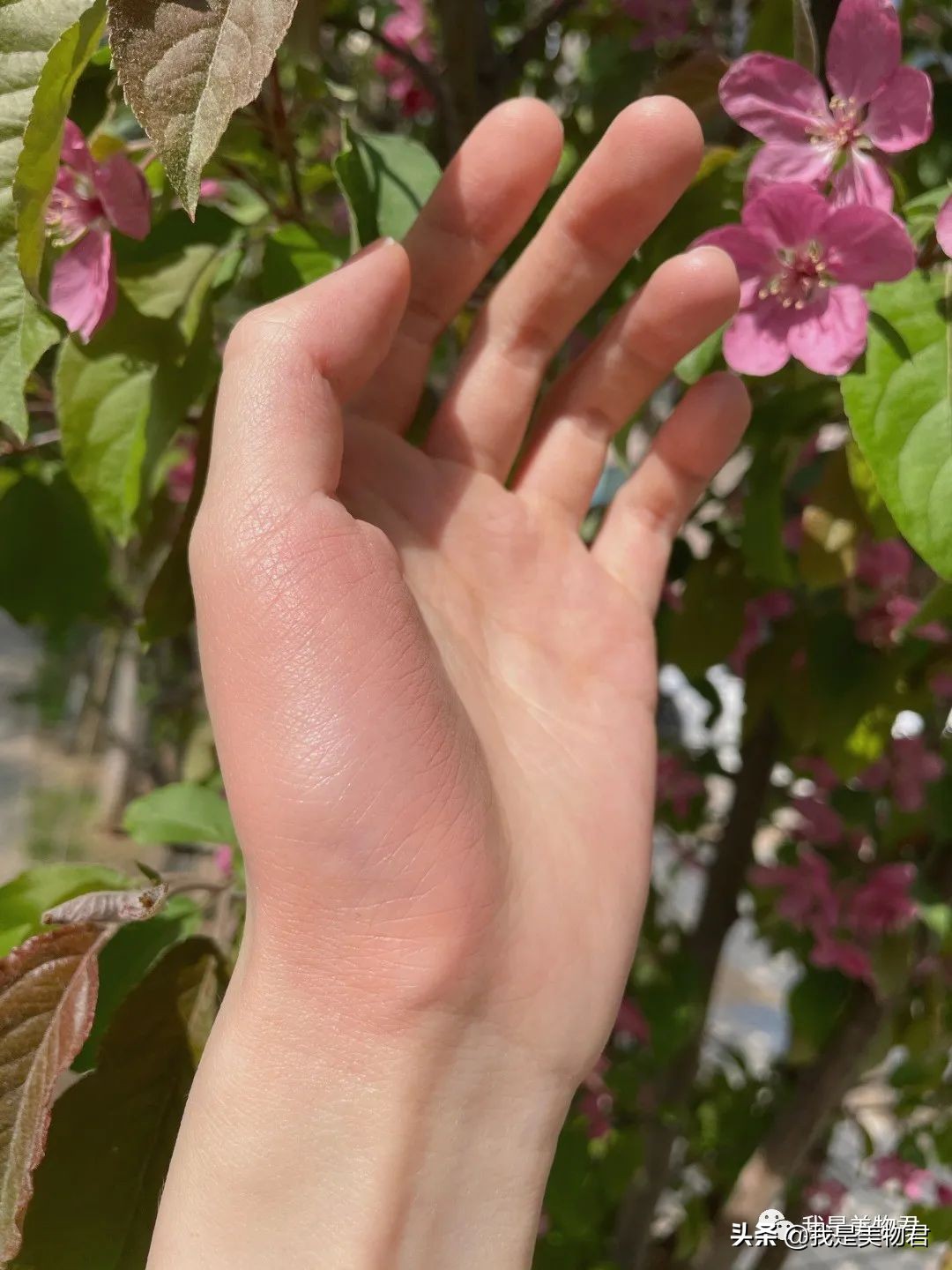 持久显白元气腮红,元气少女必备的腮红推荐