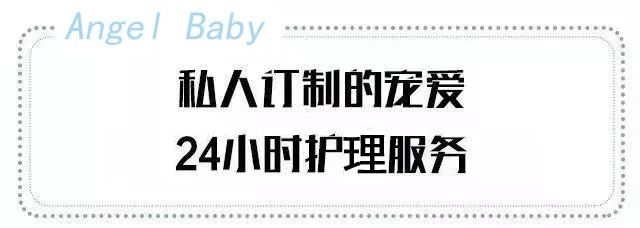 梅州婴皇月子中心多少钱,梅州安琪儿月子中心价格表