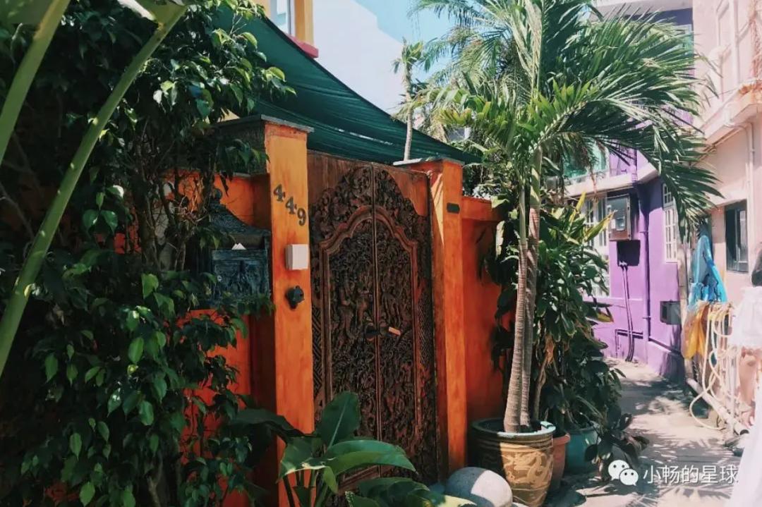 喜宝被老头打后续,喜宝喜欢石澳岛吗