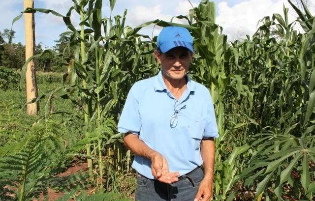 中国年年进口的大豆，为何让巴拉圭从富饶变得死寂？