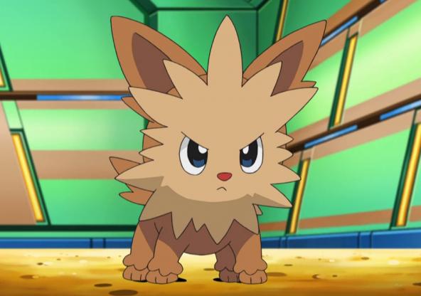 宝可梦905只精灵大全,宝可梦图鉴第807只精灵介绍