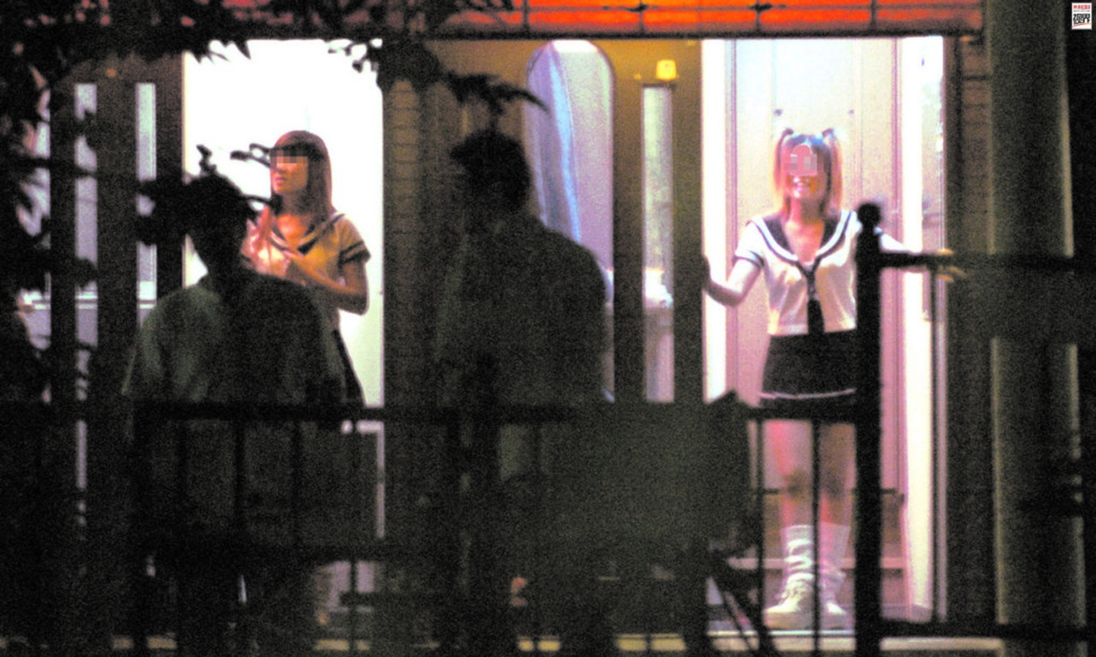 1958年日本就通过了《防止*春卖**法》，为何色情业还是全球最红火的