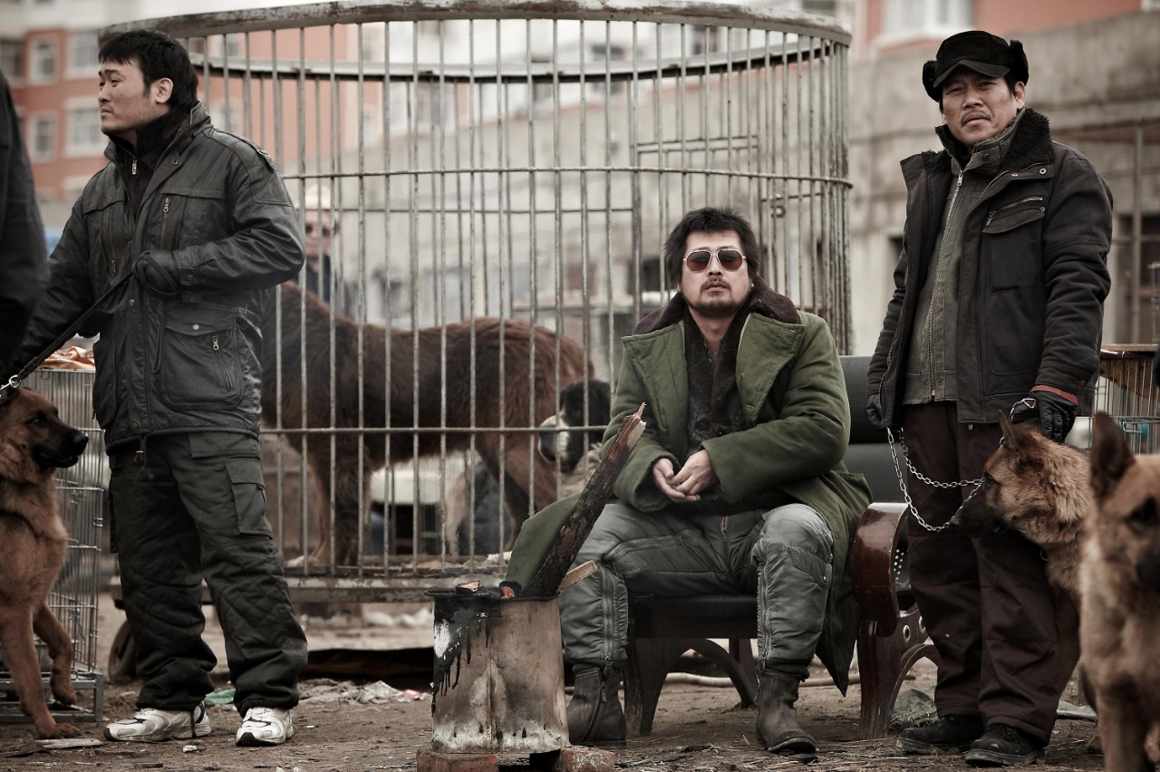 河正宇十部高分电影,韩国河正宇电影大全