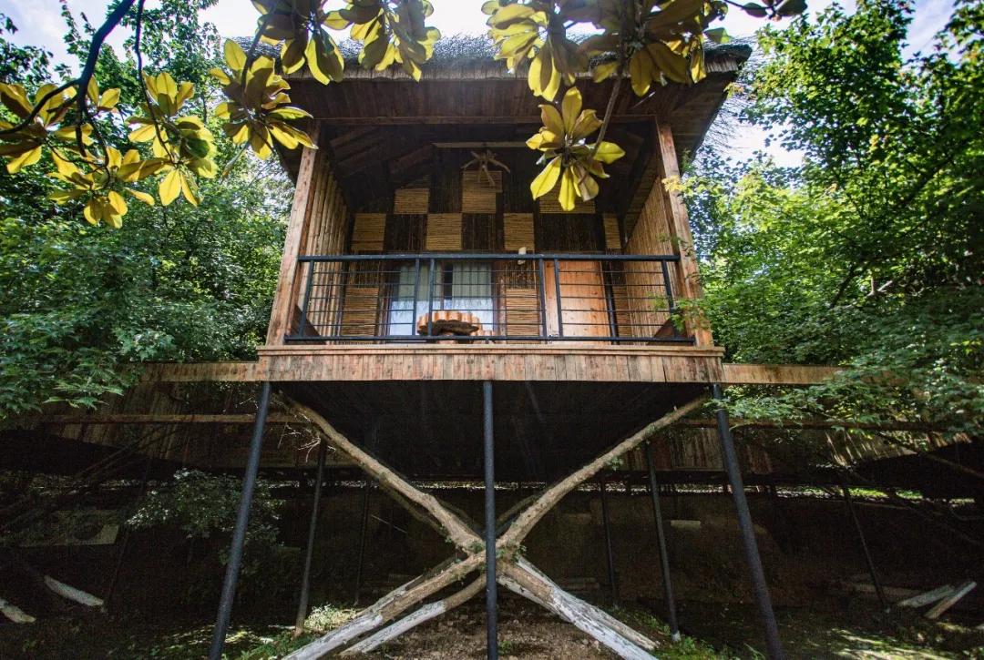 莫干山原木风绿野仙踪花园民宿,莫干山桃坡探险乐园绿野仙踪