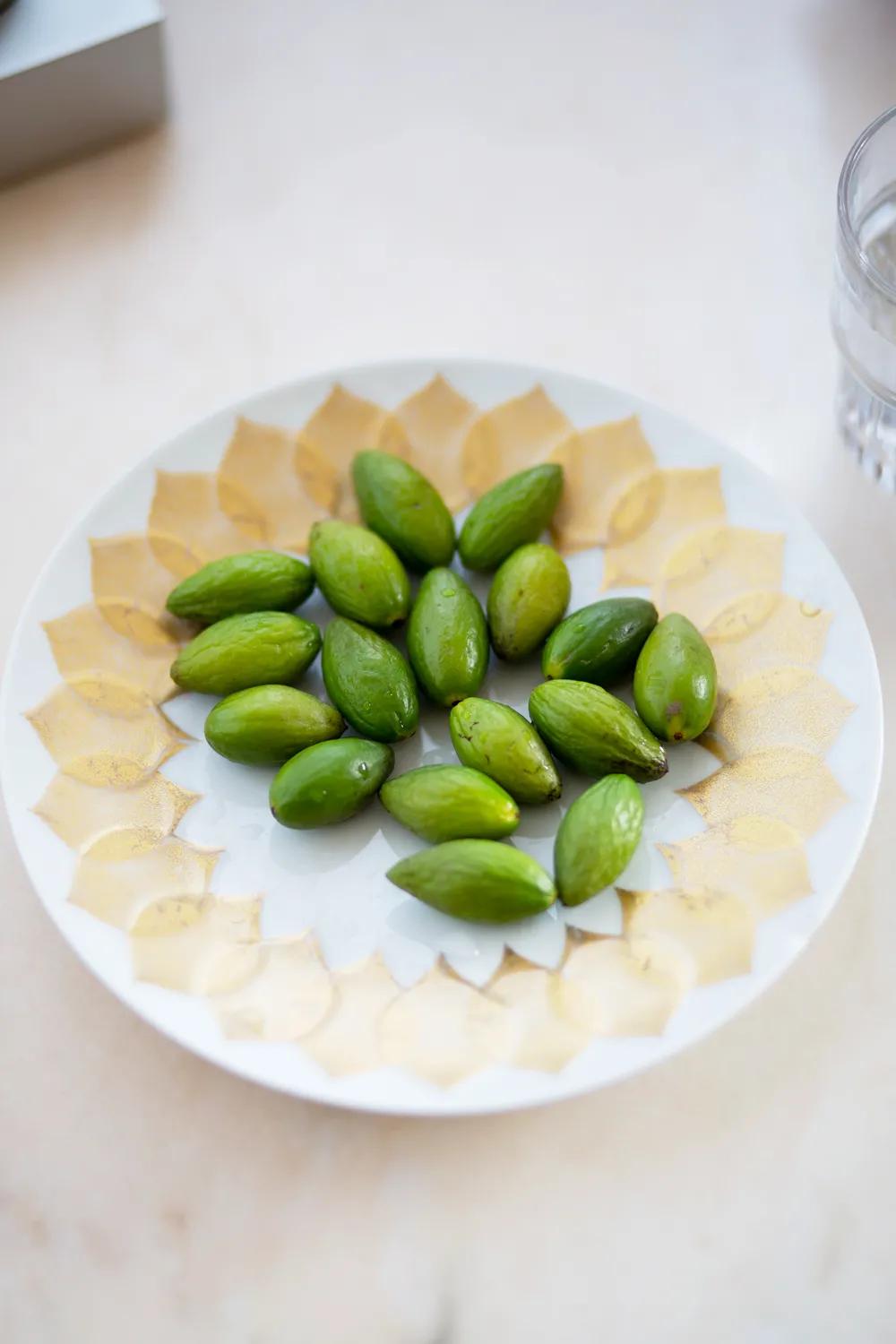 潮汕人从小吃到大的油柑,潮汕特有油柑