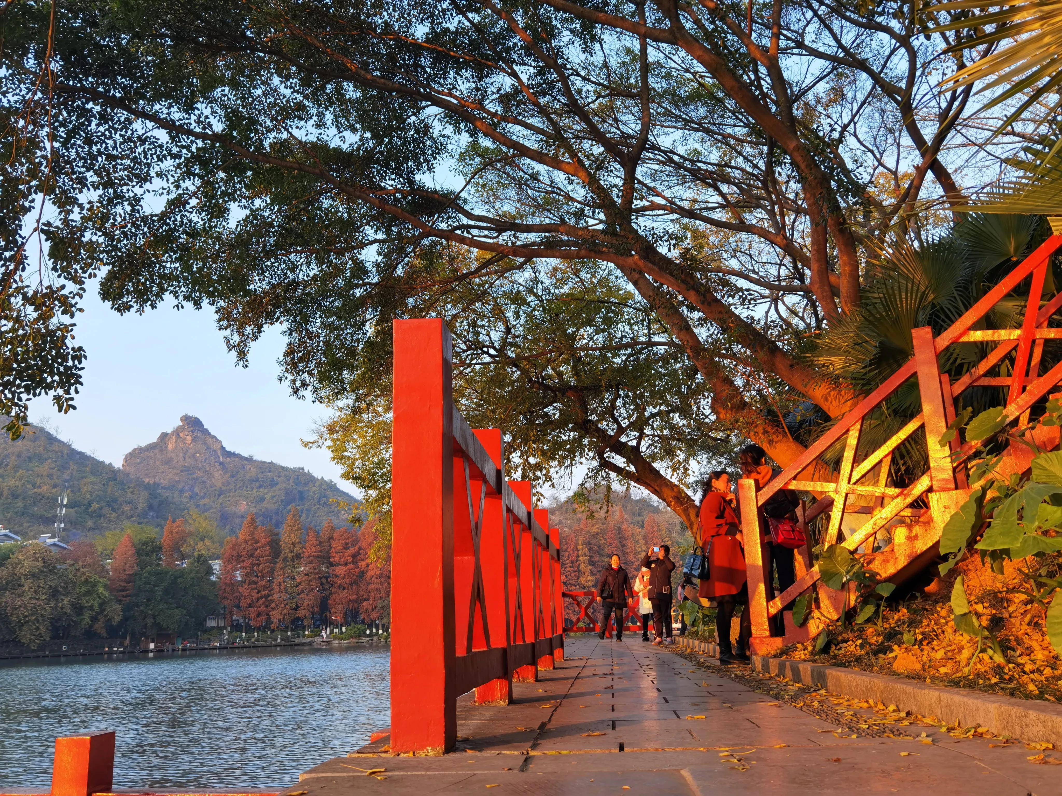 桂林：冬季到桂湖来看景