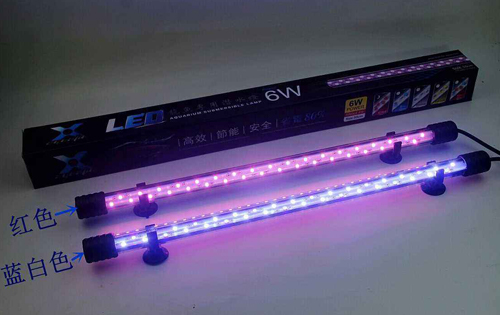 新手客厅鱼缸怎么养鱼,鱼缸养鱼新手入门教程