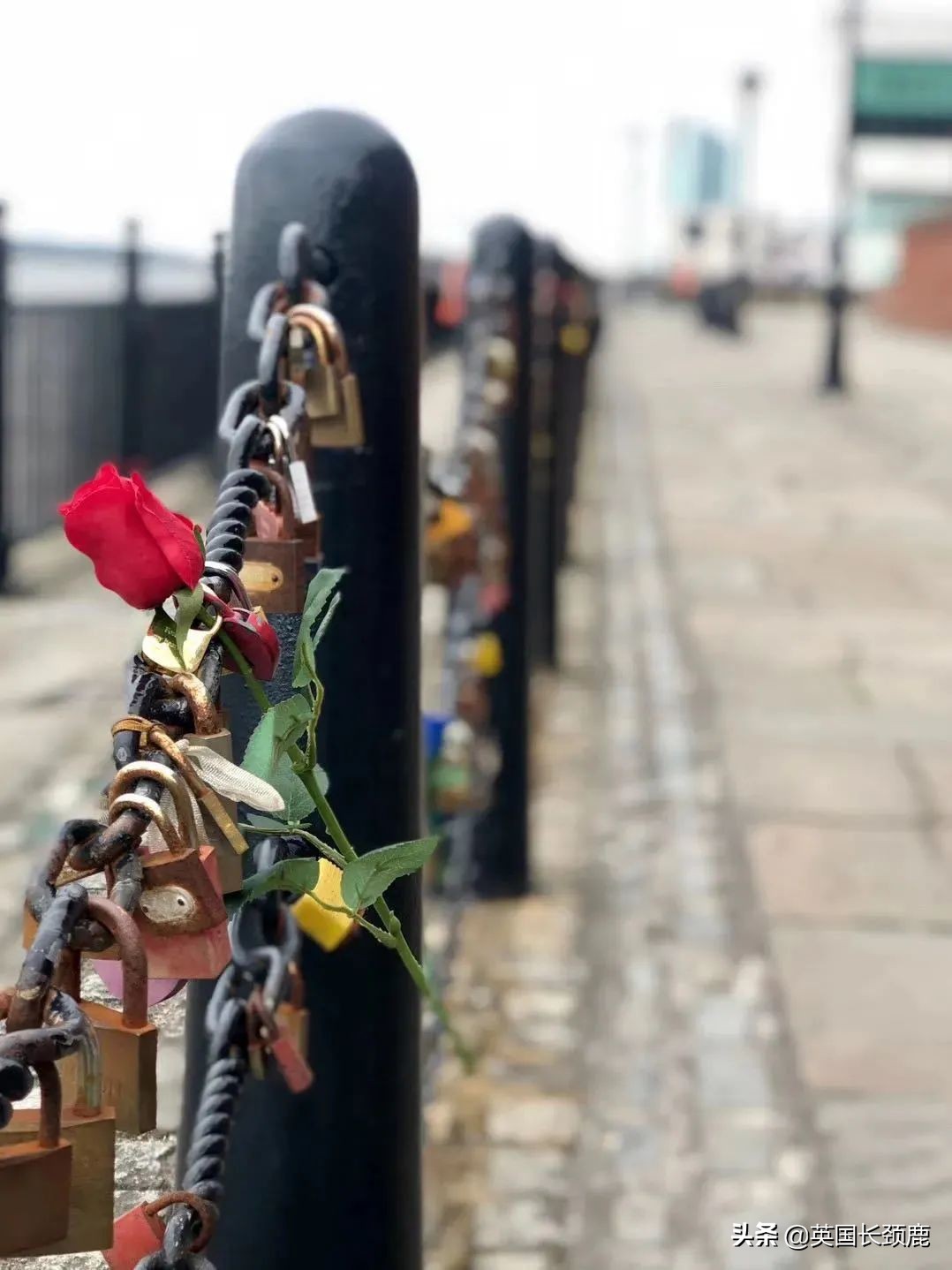 英国对爱情的记忆法：再走过诺丁山和查令十字街