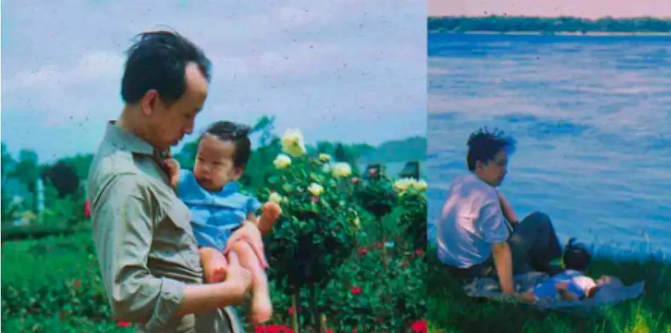 分析钱学森与蒋英爱情故事,钱学森与蒋英的爱情故事发言