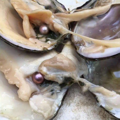 四种现场加工*局骗**，展会上看到后，有多远离它多远。