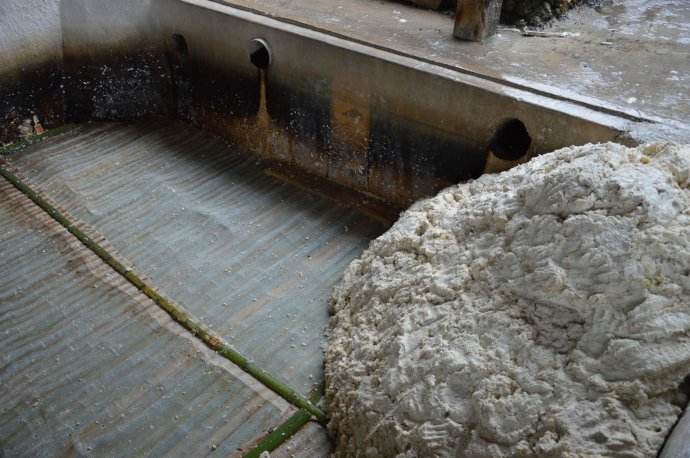 你懂宣纸吗,宣纸的使用基本知识