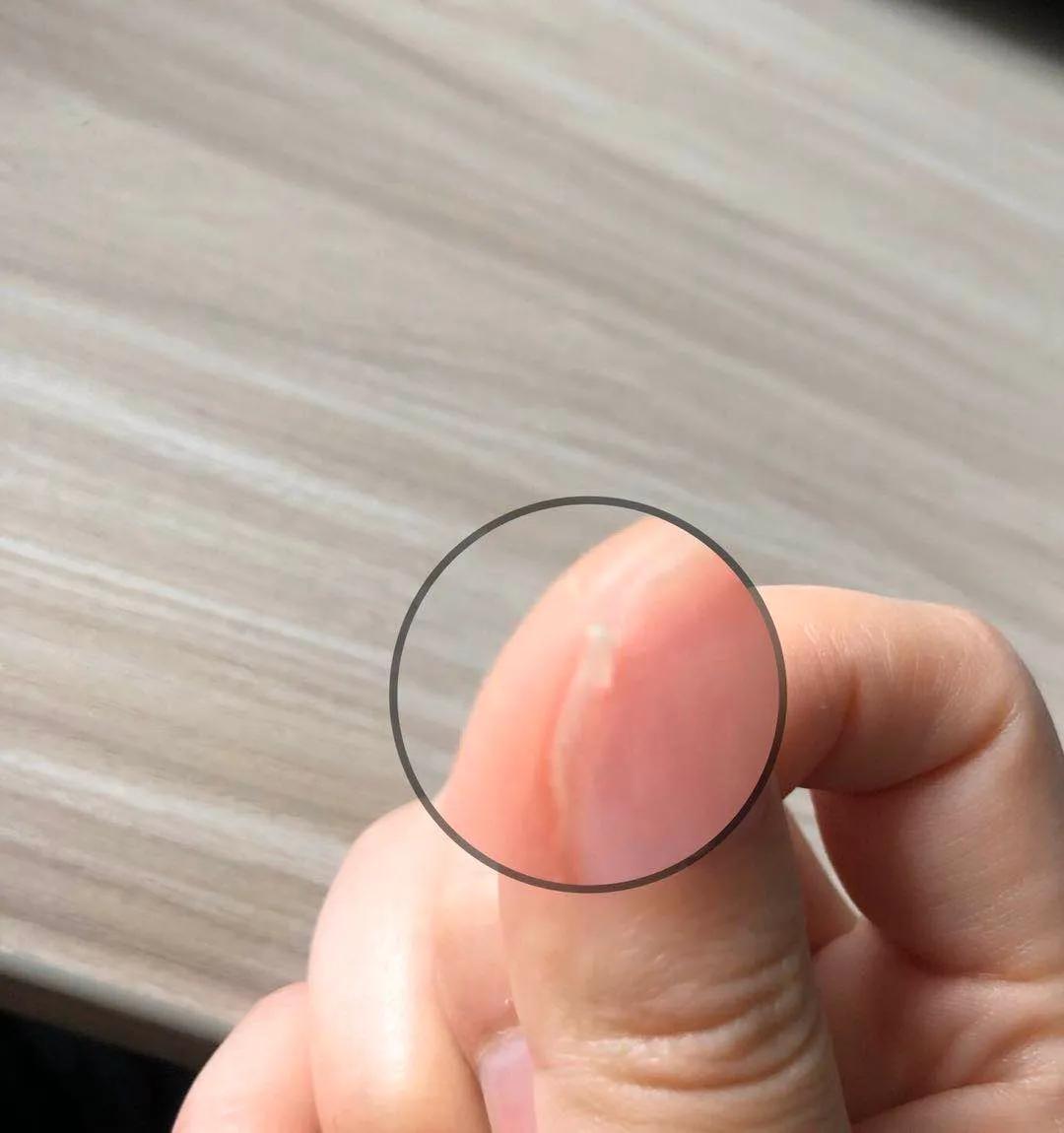 真香厨房用品,实测10款平价厨房好物个个是王炸