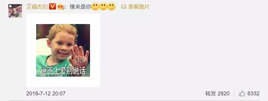 谢飞机随身携带的小绿包,谢飞机表情包视频