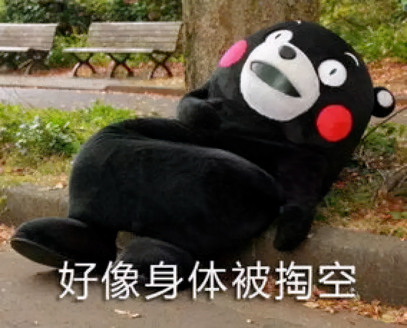 留学生快被985、211的学生碾压哭了？