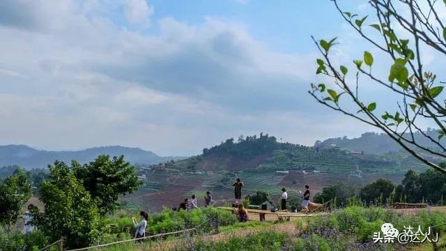 清迈攻略介绍,清迈攻略最全