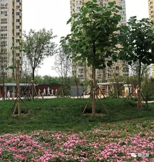 北辰区公租房有哪些,公租房天津北辰盛福园最新信息