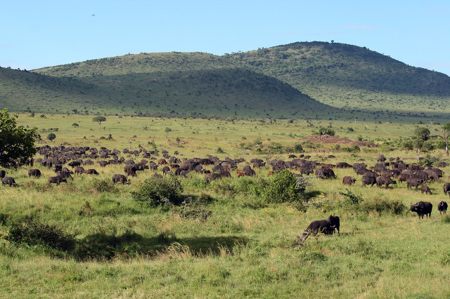 乌干达富不富裕,乌干达有多富