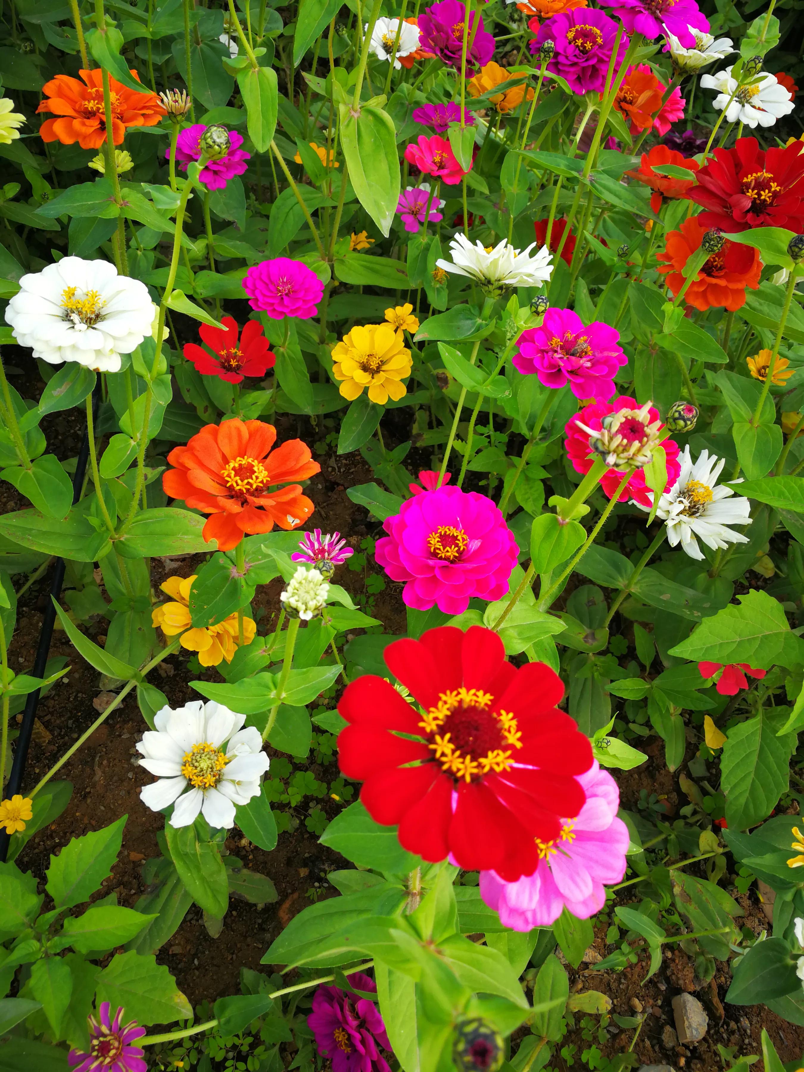 手拍世界（手机摄影平台）-群员作品集（总第671期）