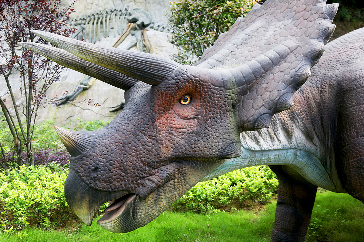 奥陶纪重庆万盛悬崖秋千有多高,悬崖秋千重庆奥陶纪体验全程