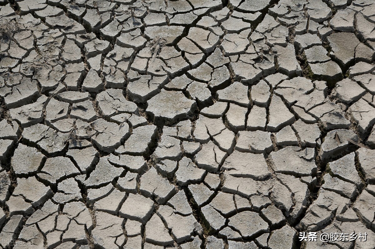 2021年夏天热不热？夏至即将来临，牛年三伏天有多少天呢？