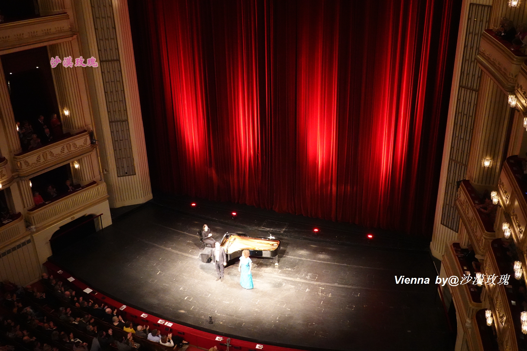 只要3欧元,就能在维也纳听一场世界级的音乐