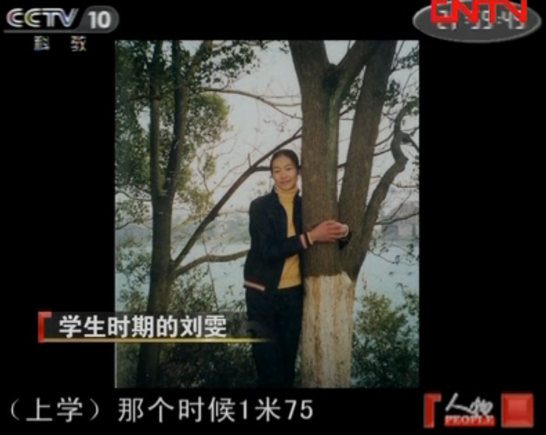 刘雯国际t台走秀视频,刘雯走t台视频