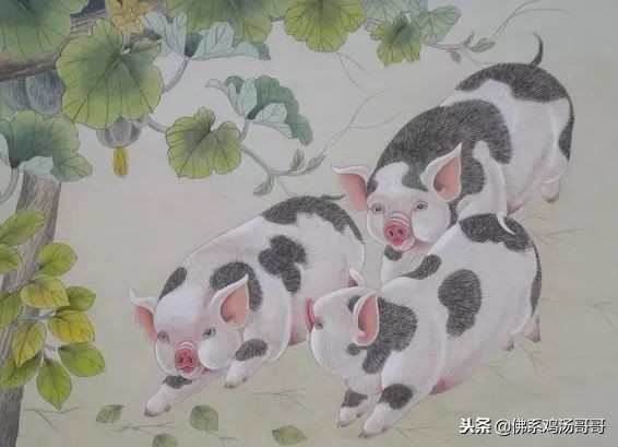 2019年运气好的属相,属相在2019年的运势