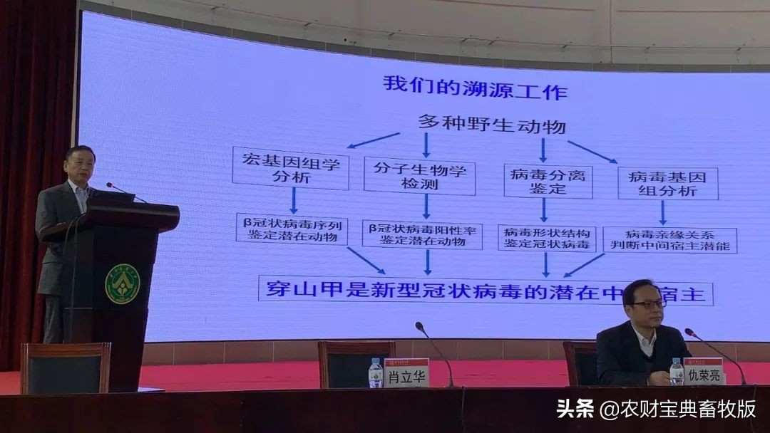 重磅！华农专家发布会详细解读：穿山甲为新型冠状病毒潜在中间宿主
