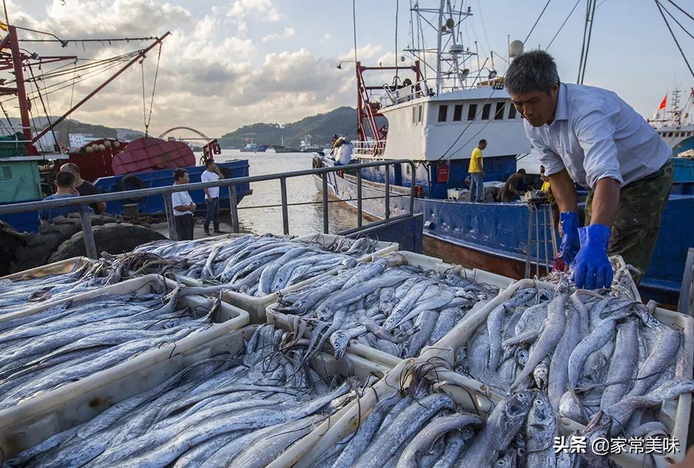 深海带鱼哪里来的,深海带鱼最便宜的海鲜