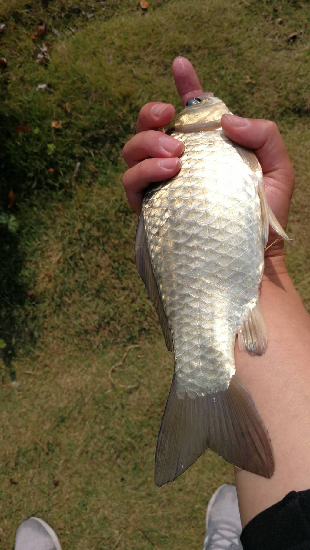 野钓鱼上浮什么原因,钓鱼怎么避免挂底最佳解决方法