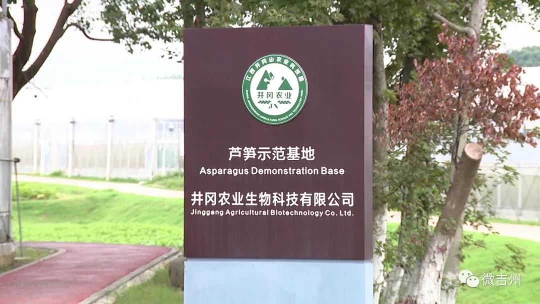 兴桥镇农业,兴桥镇农高区规划图