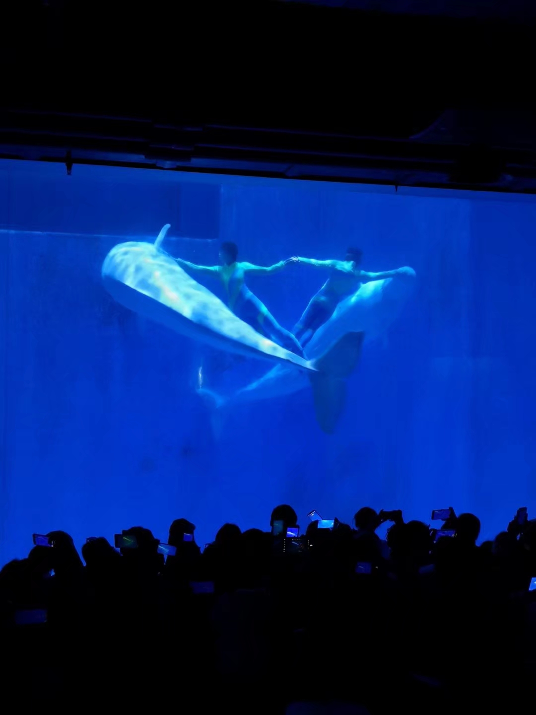 哈尔滨海拉尔呼伦贝尔旅游游记,哈尔滨漠河满洲里旅游攻略