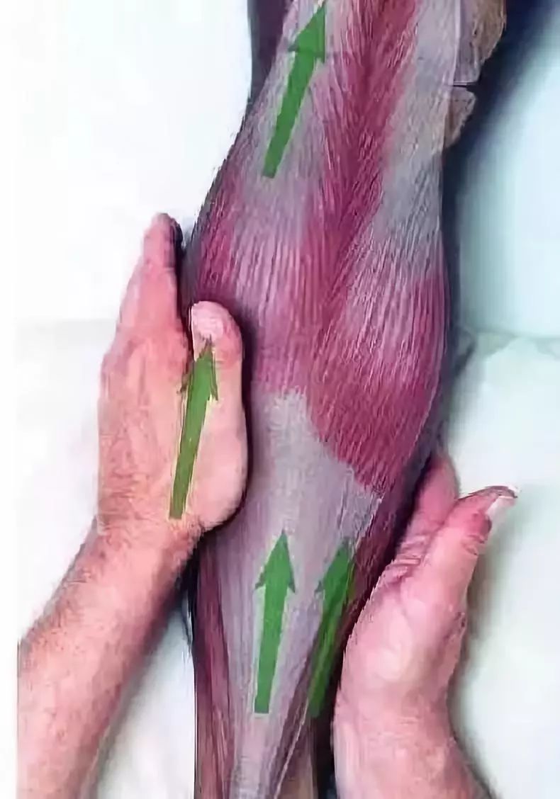 有什么治疗小腿静脉曲张的好方法,小腿静脉曲张的最快消除方法