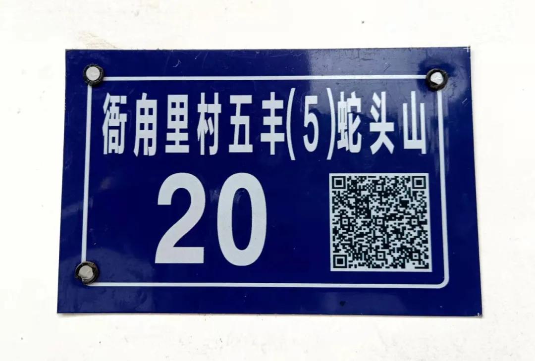 苏州东山碧螺春品尝,高端苏州洞庭山碧螺春