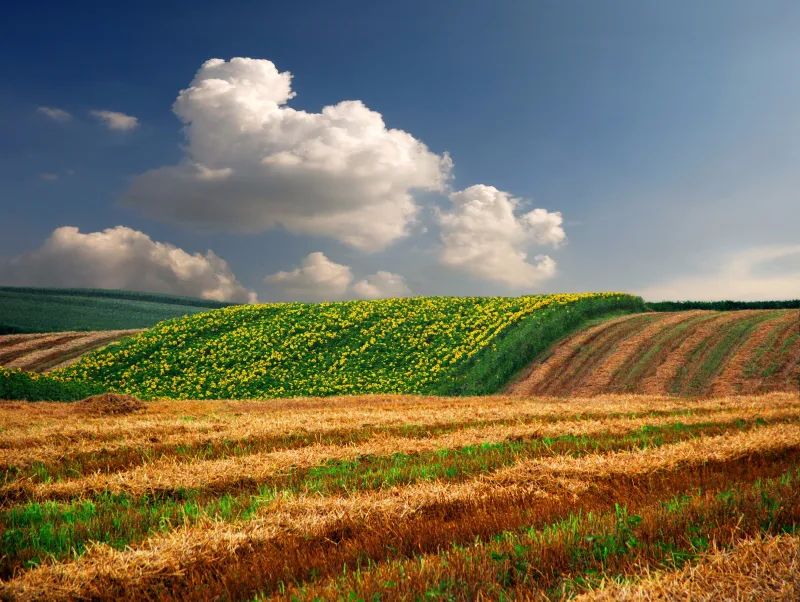 塞尔维亚最值得去的十大景点,塞尔维亚十佳游览地