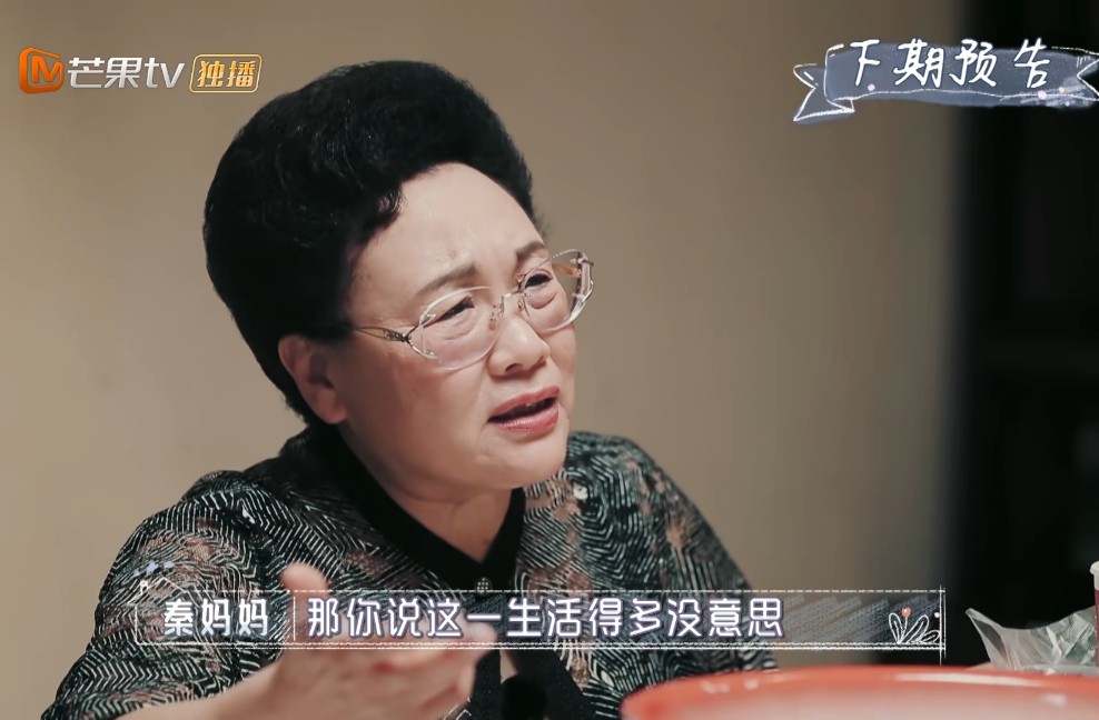 秦昊姜潮林志颖视频,林志颖和陈若仪的结局