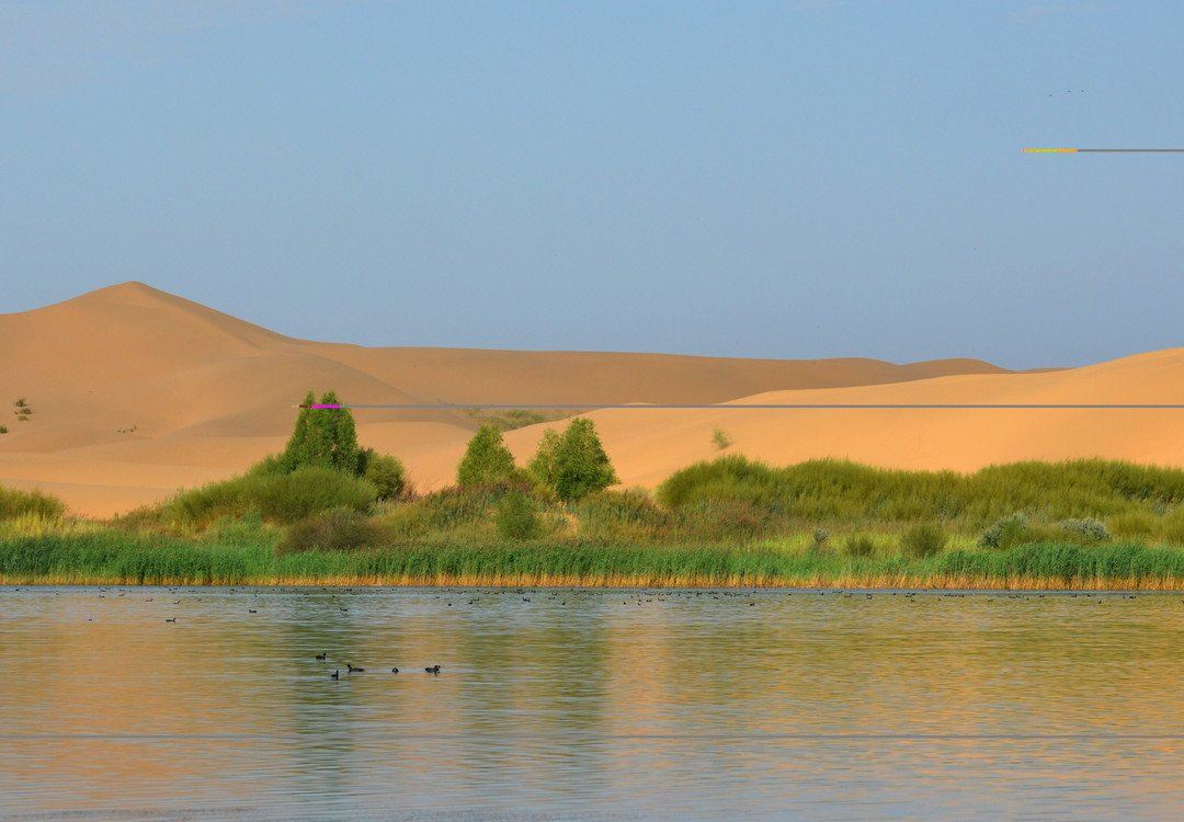 中国最奇幻的沙漠酒店,最美旅游主题酒店