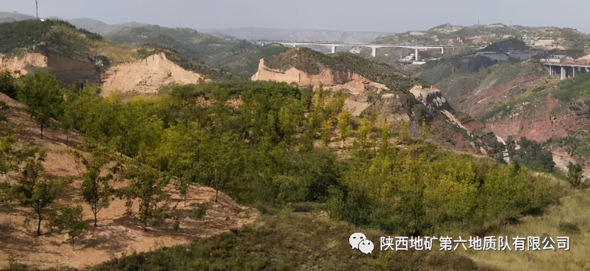 吴堡龙鳞玉,陕西吴堡龙鳞玉