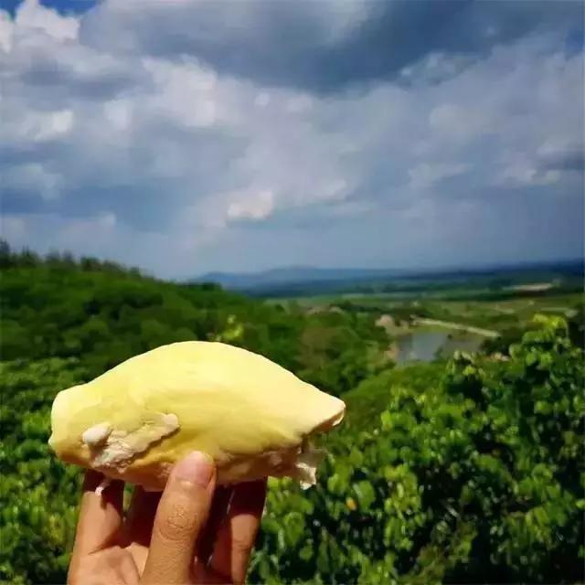 泰国芒果自助,泰国吃喝玩乐攻略榴莲自助餐