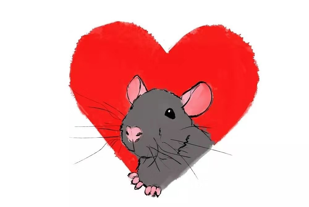 花枝鼠难产了是怎么回事,花枝鼠难产死了宝宝怎么养