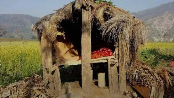 世界卫生日,世界经期卫生日